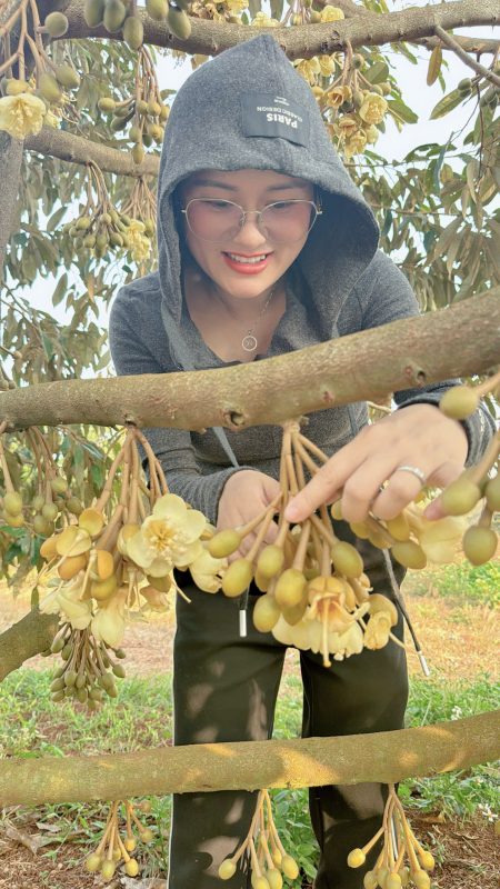 O Huyền Sầu Riêng