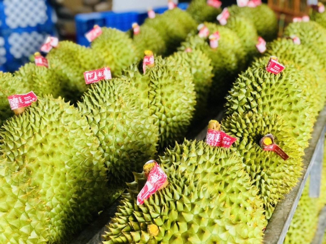 O Huyền Sầu Riêng